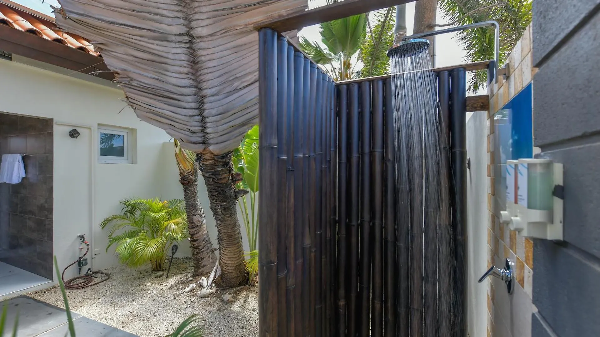 Boutique Hotel Swiss Paradise Aruba Villas And Suites Palm Beach