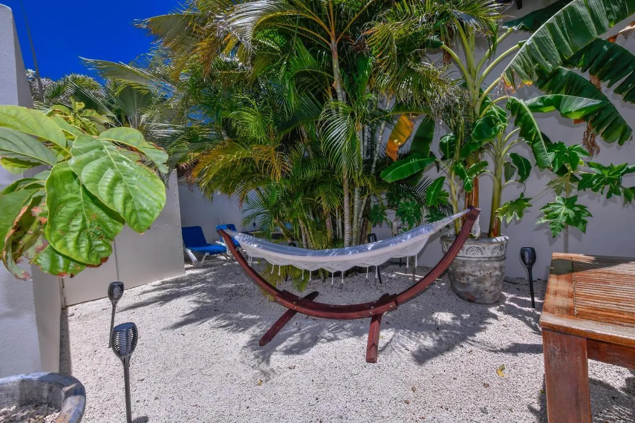 Aparthotel Boutique Hotel Swiss Paradise Aruba Villas And Suites Palm Beach