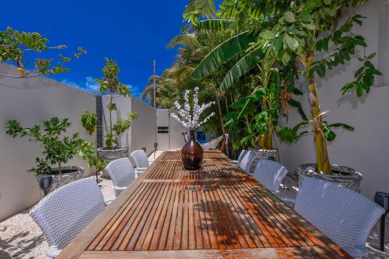 Boutique Hotel Swiss Paradise Aruba Villas And Suites Palm Beach Aruba