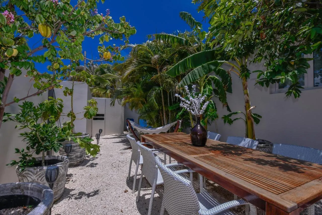 Aparthotel Boutique Hotel Swiss Paradise Aruba Villas And Suites Palm Beach