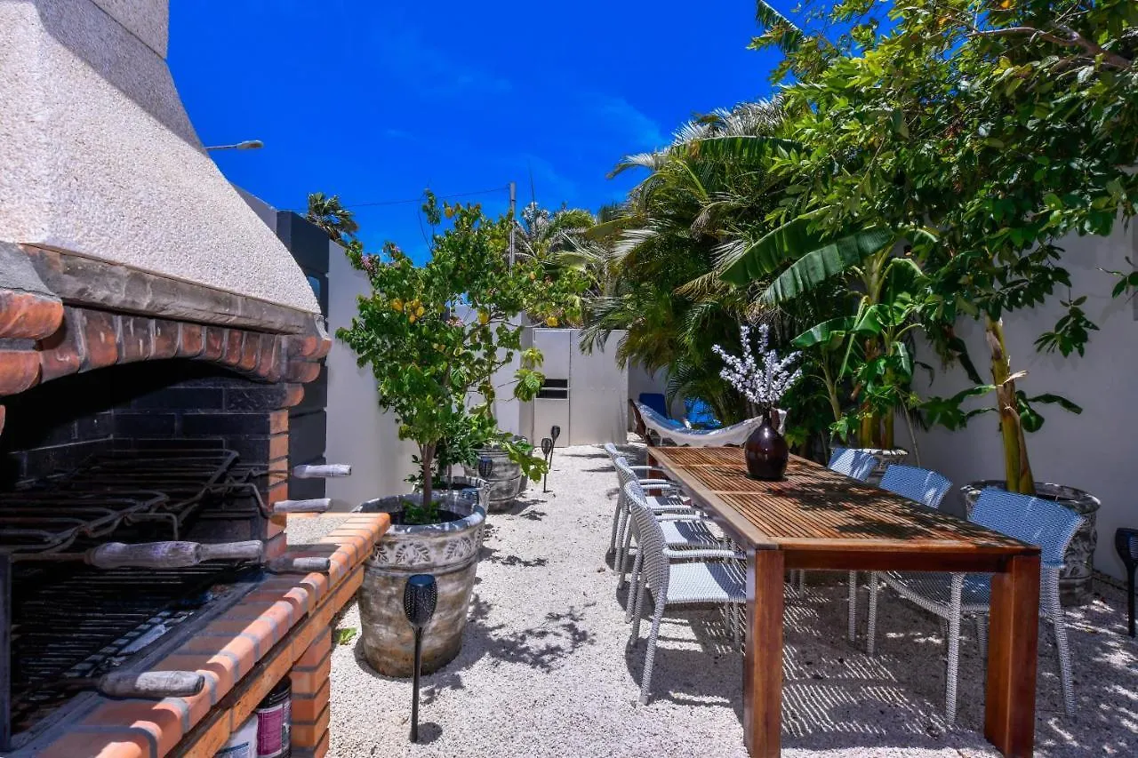 Boutique Hotel Swiss Paradise Aruba Villas And Suites Palm Beach 4*,